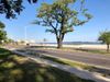 421 Beach Blvd photo